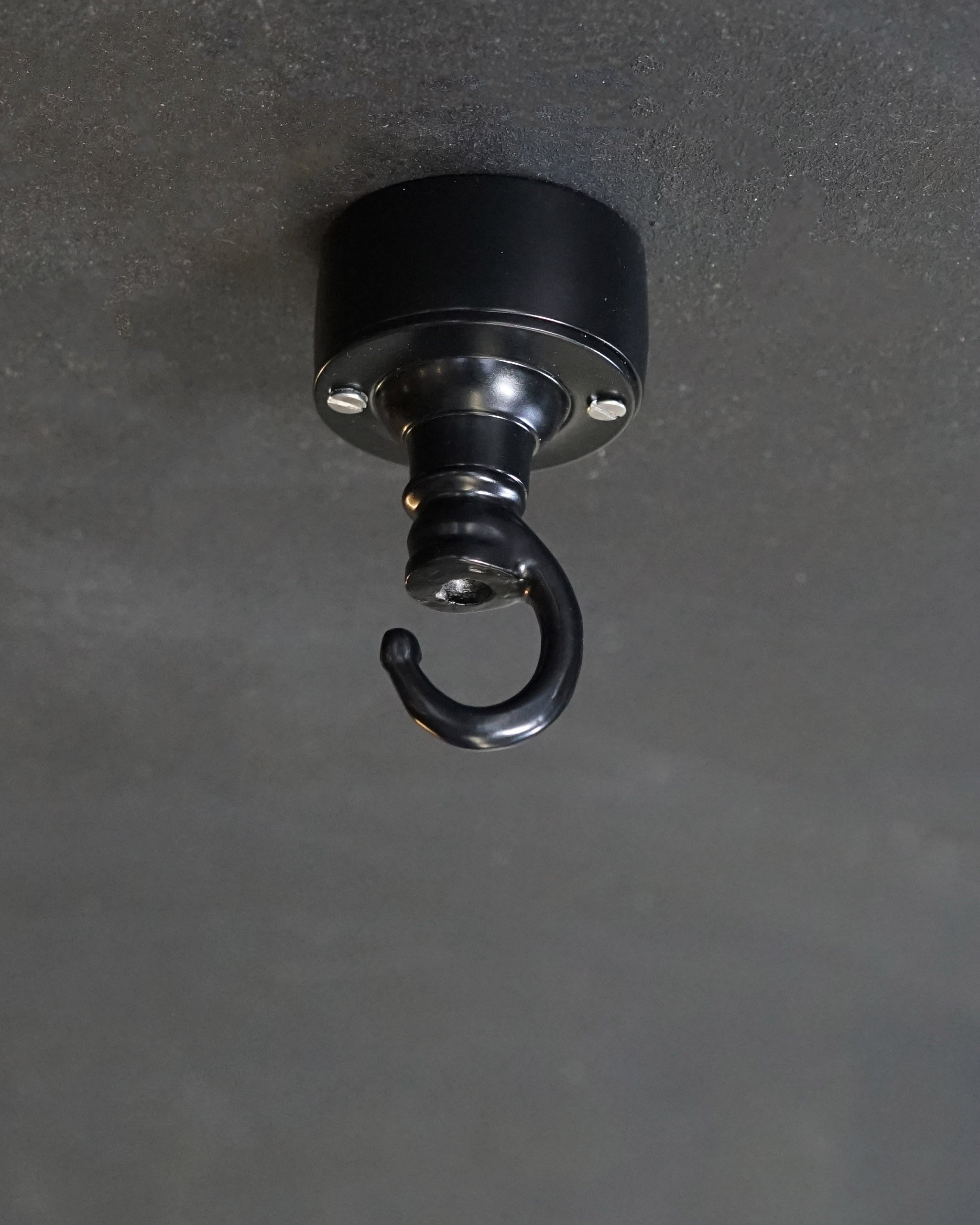 Black Lighting Hook Trinity Marine