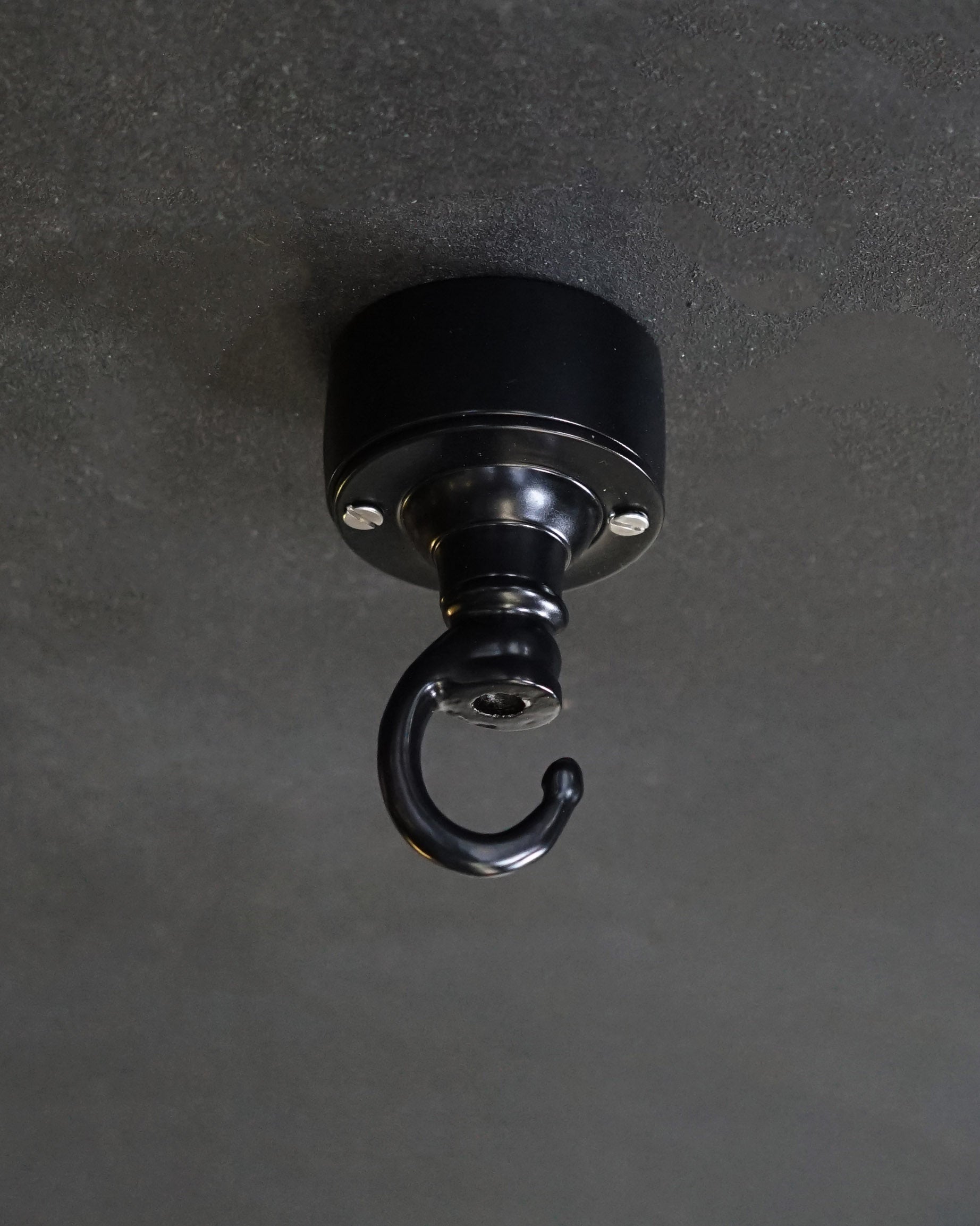 Black Lighting Hook Trinity Marine