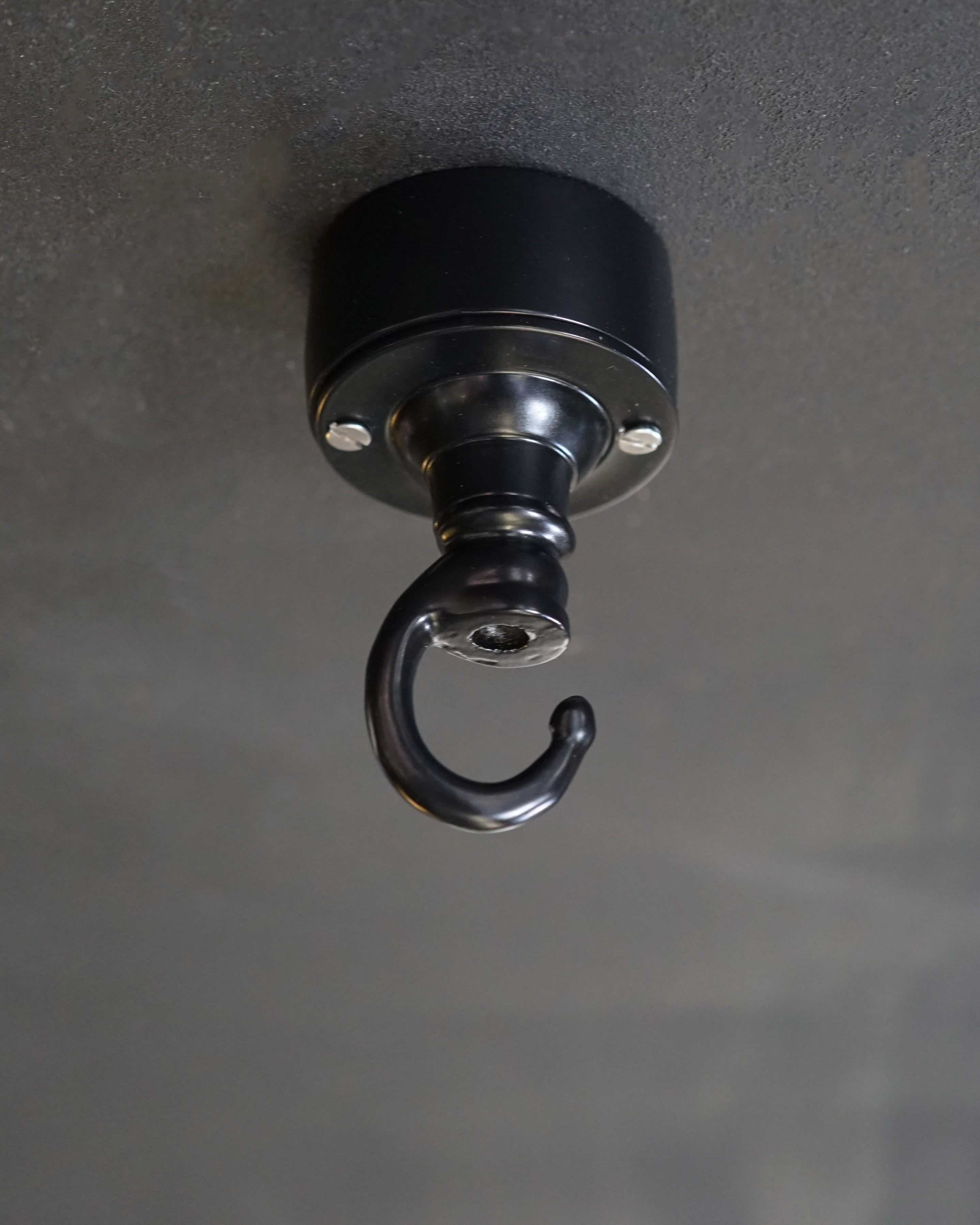 Black Lighting Hook Trinity Marine