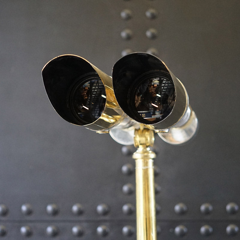 Stunning set of ‘Big Eye’s’ Japanese 15 x 80s.