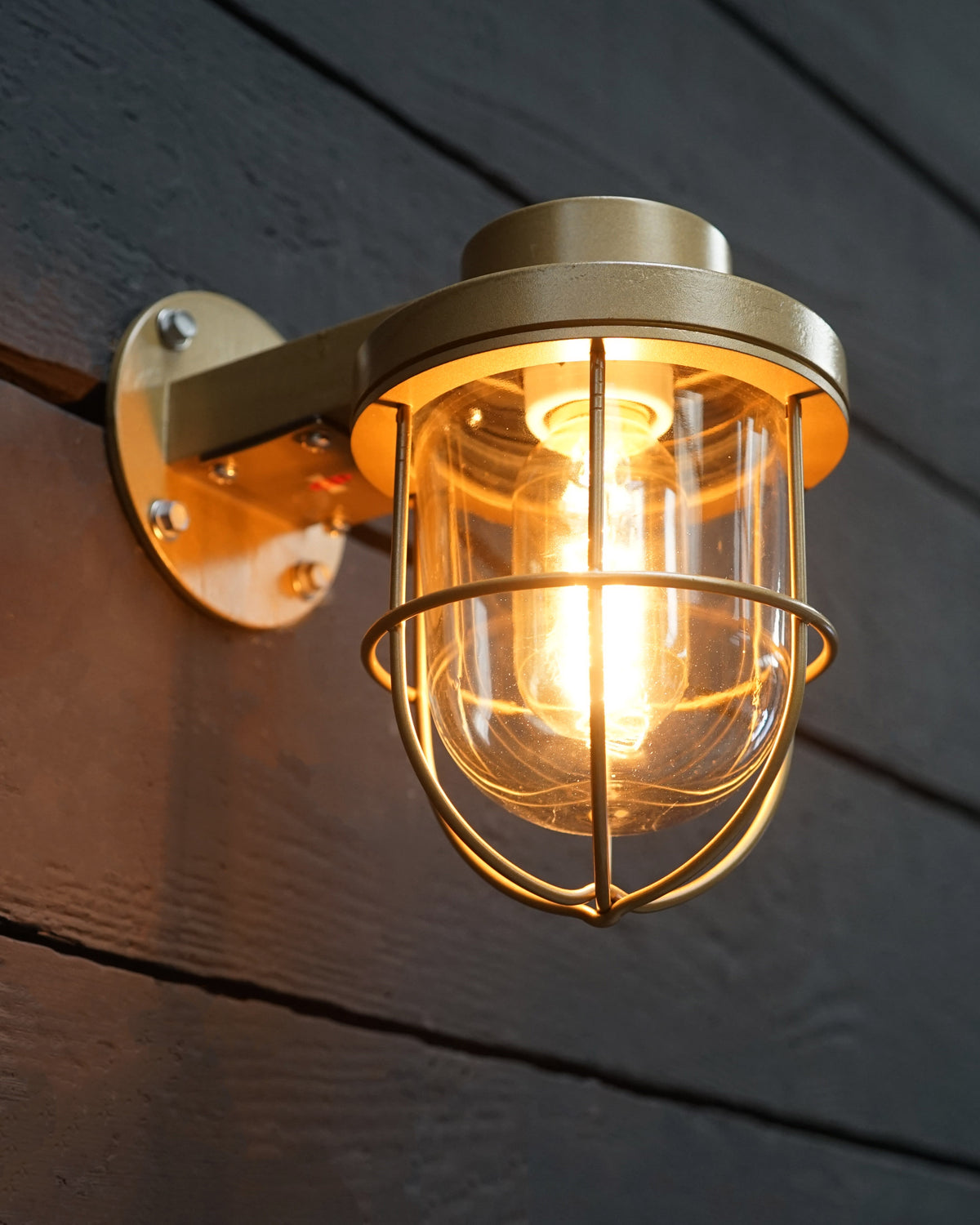 Seafarer Brass Outdoor Wall Light
